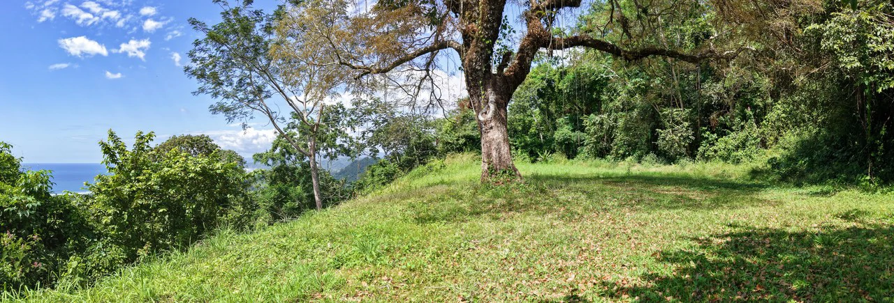 Ocean View Lot for Sale Coyote Beach Guanacaste Costa Rica - Gallery image 5