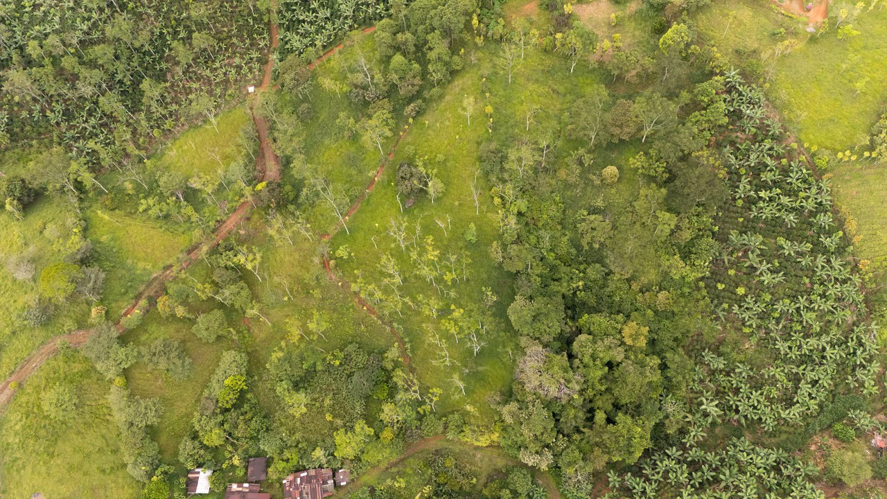 Se vende 6acres en San Antonio de Rivas, Pérez Zeledón: Countryside Home Construction Site For Sale in San Isidro del General - Gallery image 22