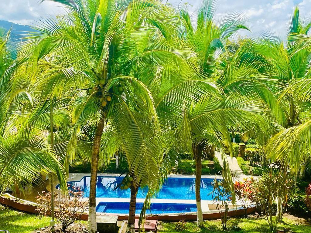 3 houses for sale with ocean views, gardens and mountains Orotina Costa Rica - Gallery image 15