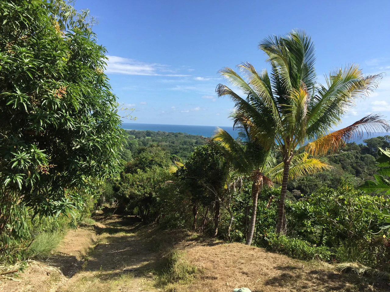 Osa Peninsula, Carate Beach: Incredible Ocean View above the Pacific - Gallery image 21