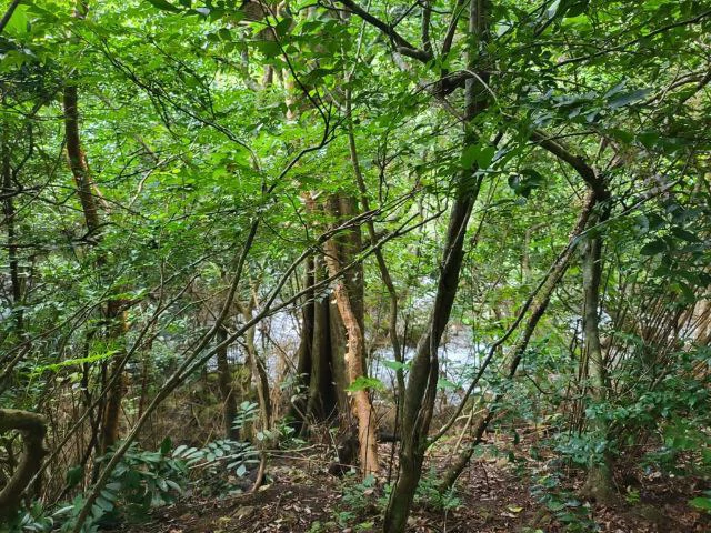 Charming property for sale in Nueva Guatemala with stunning views of the Tenorio Volcano and the beautiful green valleys - Gallery image 13
