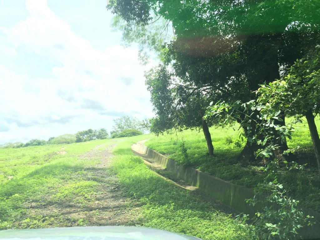 Propiedad de 79 hectáreas: Property of 79 hectares, located in Canas Dulces Liberia. - Gallery image 15