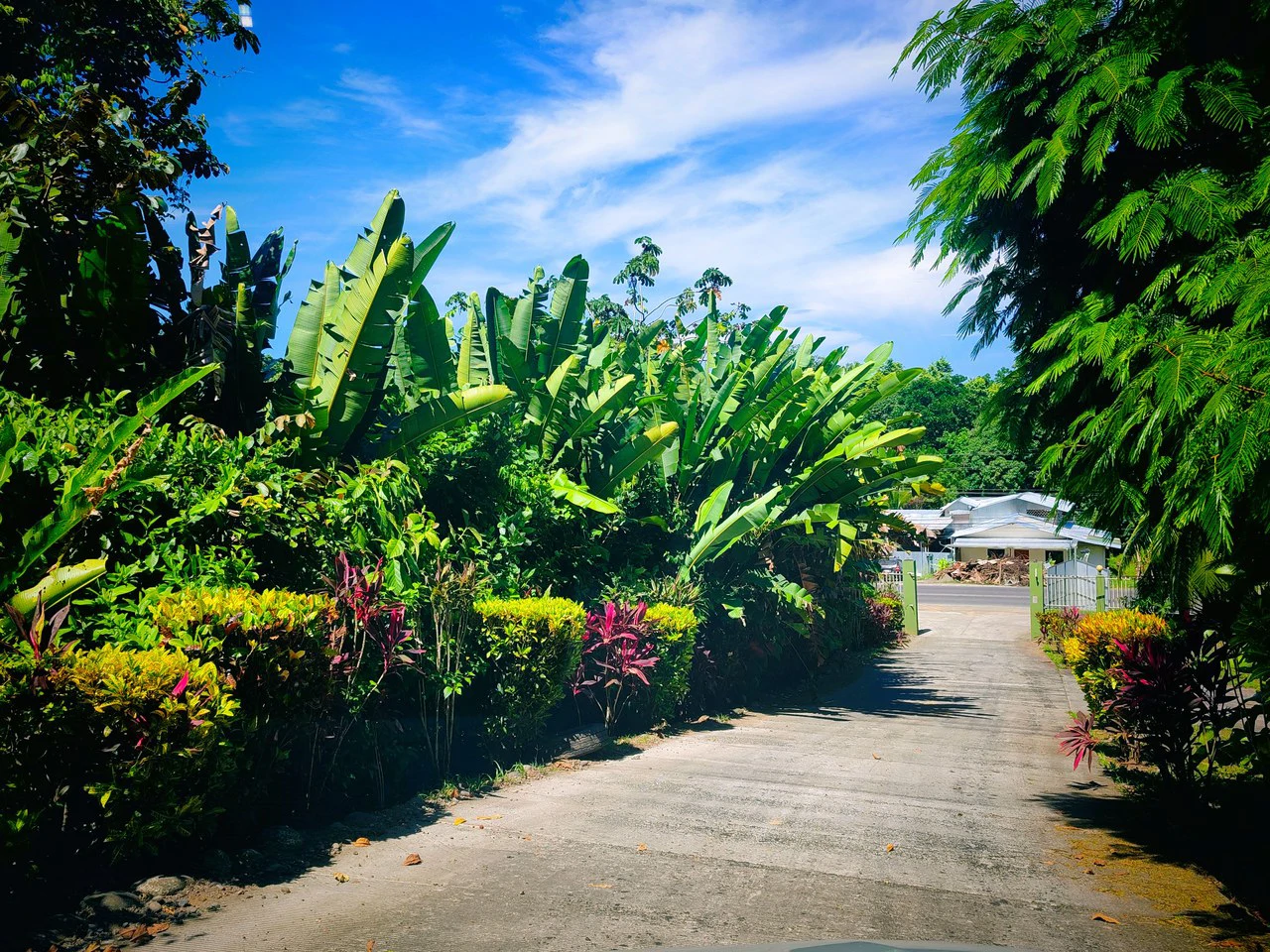 ID 4193: Ocean View Residential Lot for Sale near Puerto Viejo, Caribbean Costa Rica - Gallery image 13