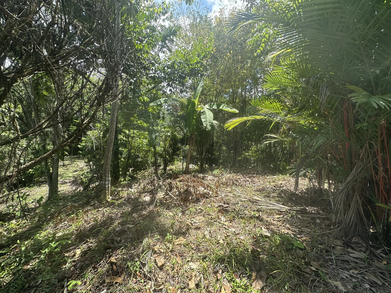 Ocean View Estate Lot with Private Waterfall – Uvita - Gallery image 12