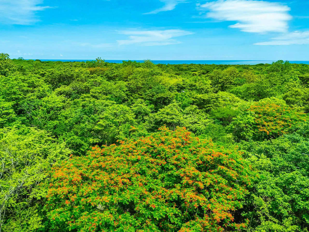 Adventure Meets Nature: Private 1.75acres Lot Minutes from Playa Negra - Gallery image 13