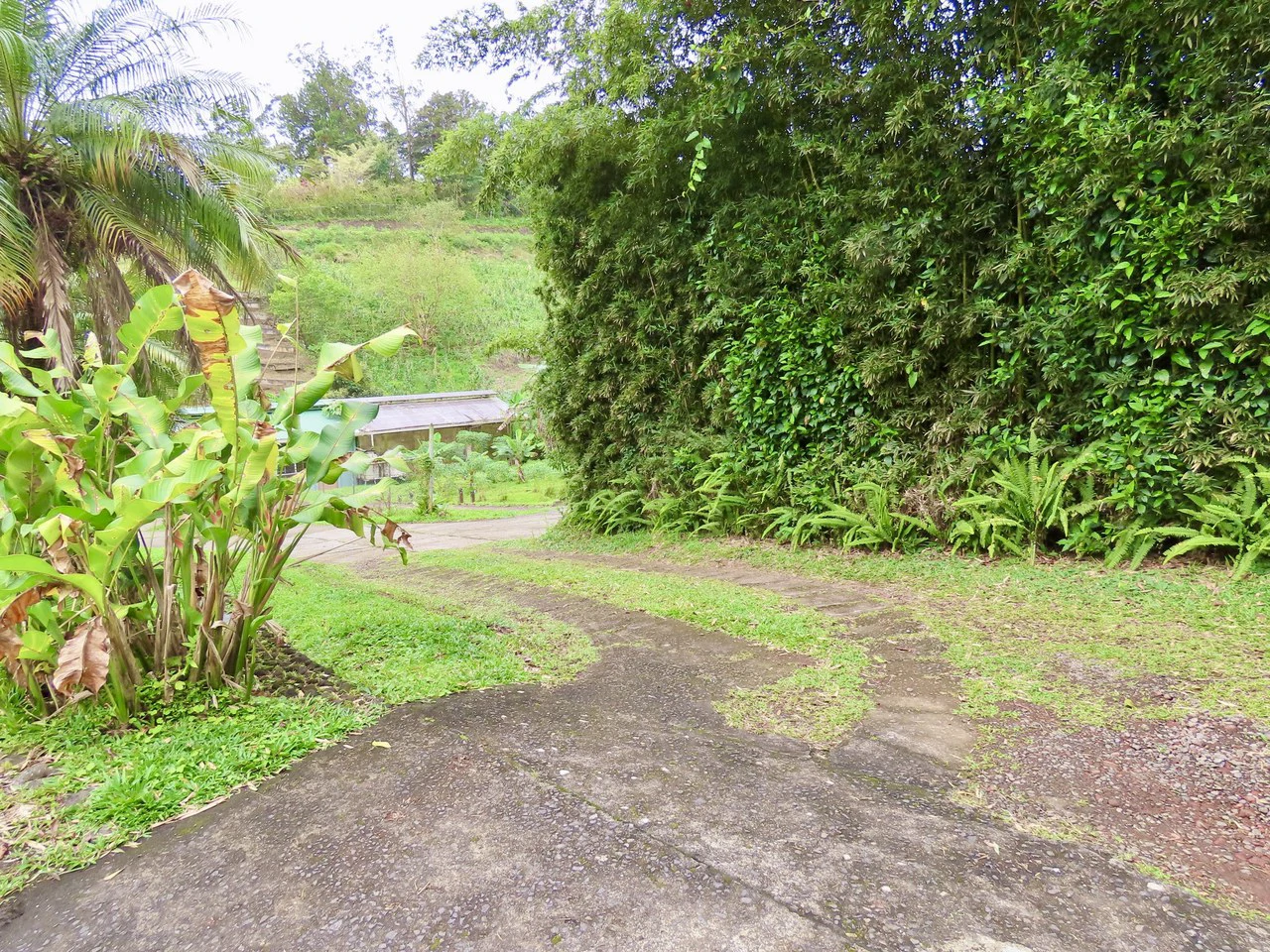 CASA  TROPICANA - Lake View Oasis Near Nuevo Arenal - Gallery image 65