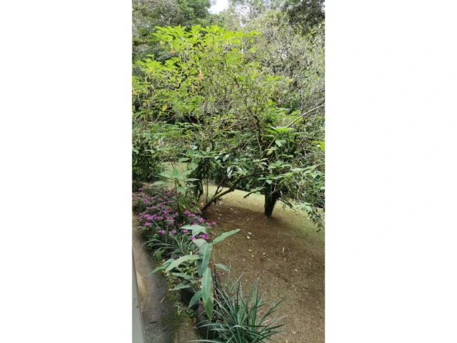 Countryside, Lakefront and Mountain House For Sale in Arenal - Gallery image 19