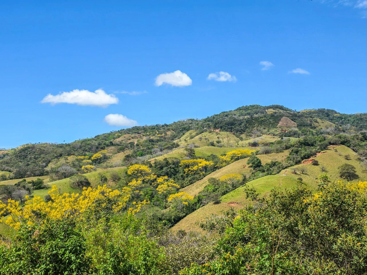 Mountain and Partial Ocean View Lot With Building Permits Approved - Gallery image 4