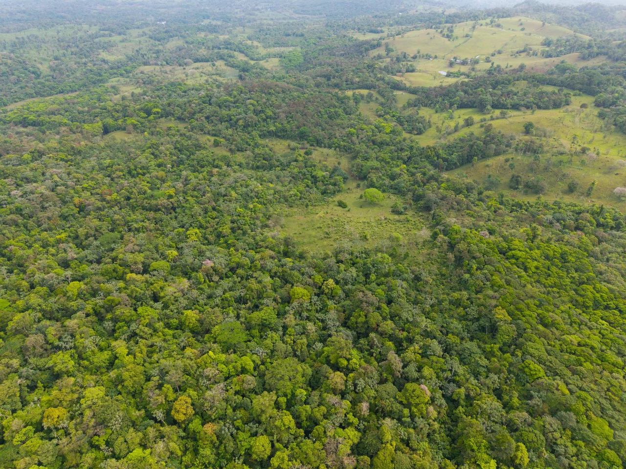 Finca Las Zompopas-Río Celeste: 113-Acre Biodiverse Property in Bijagua, Ideal for Eco-Tourism, Private Retreats, or Sustainable Development - Gallery image 10