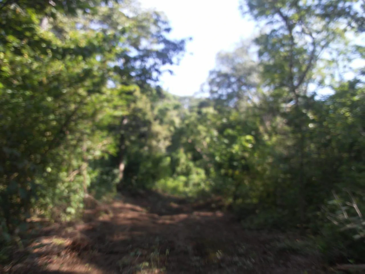 Large commercial property for sale in the Papagayo area, close to the Marina Papagayo or Four Season luxury hotel - Gallery image 4