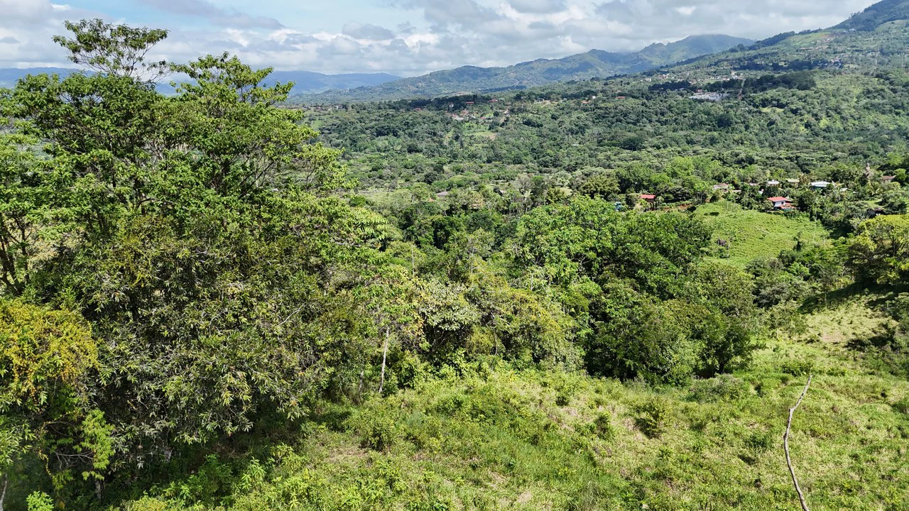 FINCA EN MIRAFLORES: Mountain Agricultural Land For Sale in El General - Gallery image 4