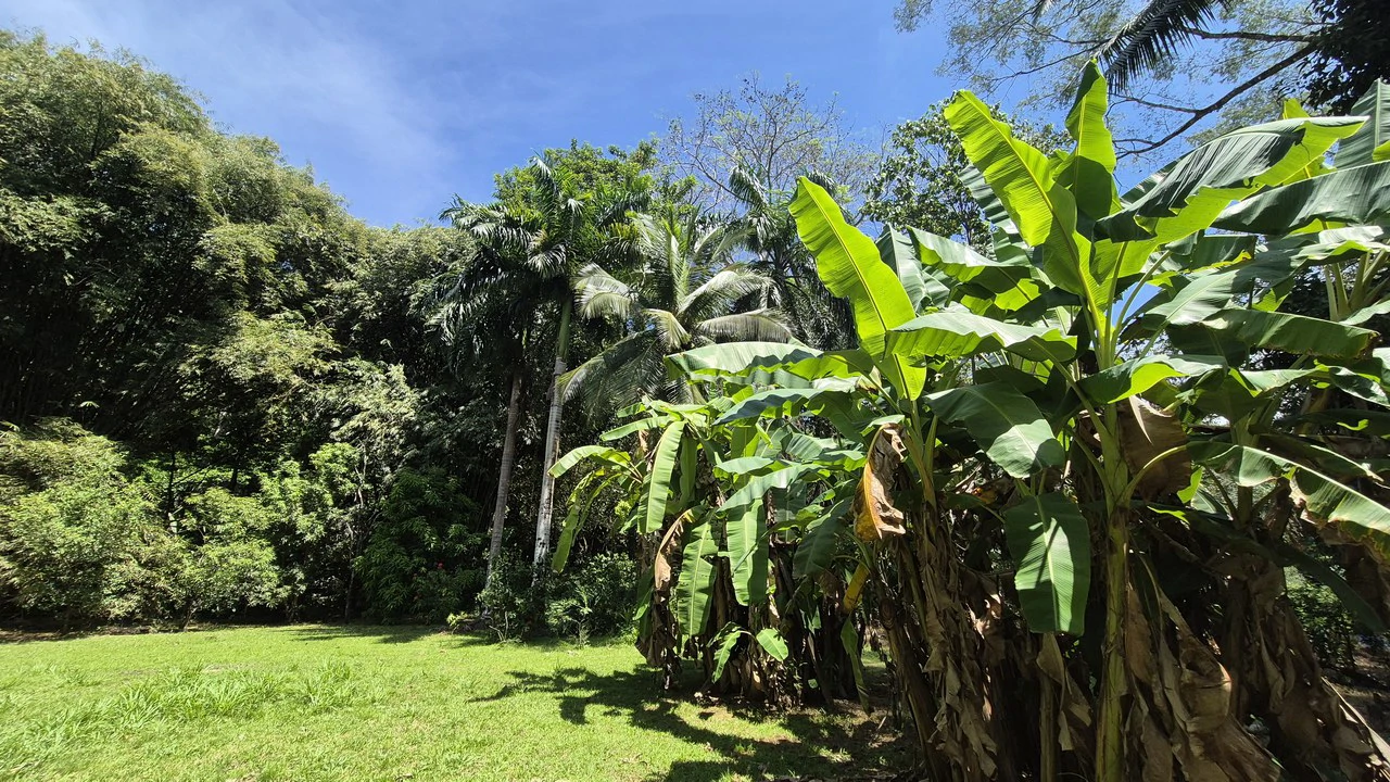 Dream Beachfront Property at Ballena Beach in Uvita, Costa Rica - Gallery image 13