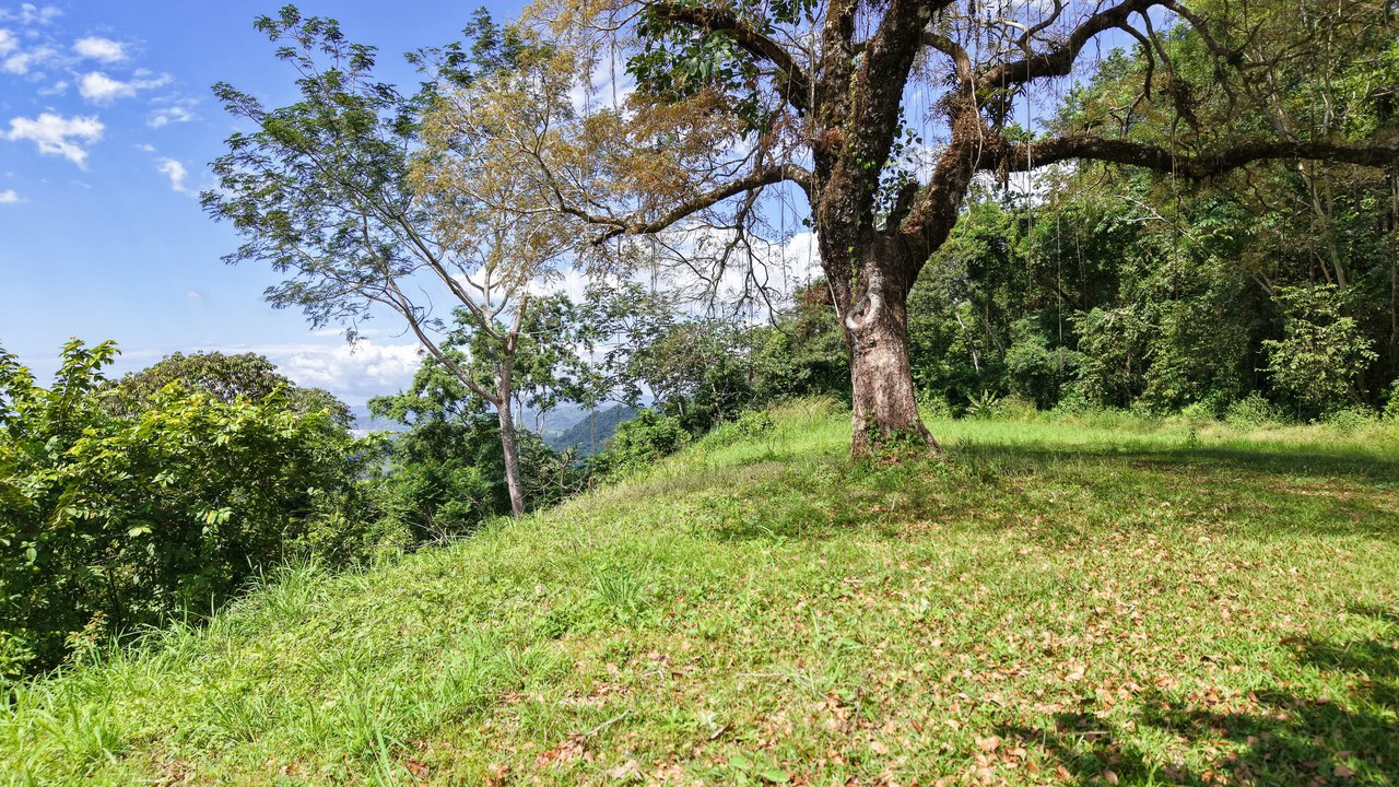 Ocean View Lot for Sale Coyote Beach Guanacaste Costa Rica - Gallery image 13