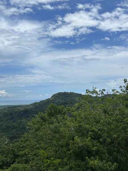 Panoramic 180 Degree Ocean View Lot Ready To Build Close To Ojochal - Gallery image 49