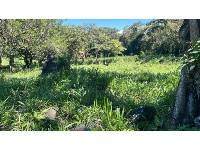 Nature Paradise Farm for sale in the mountains of Quebrada Grande, Building potential property 30 minutes away from Liberia - Gallery image 29
