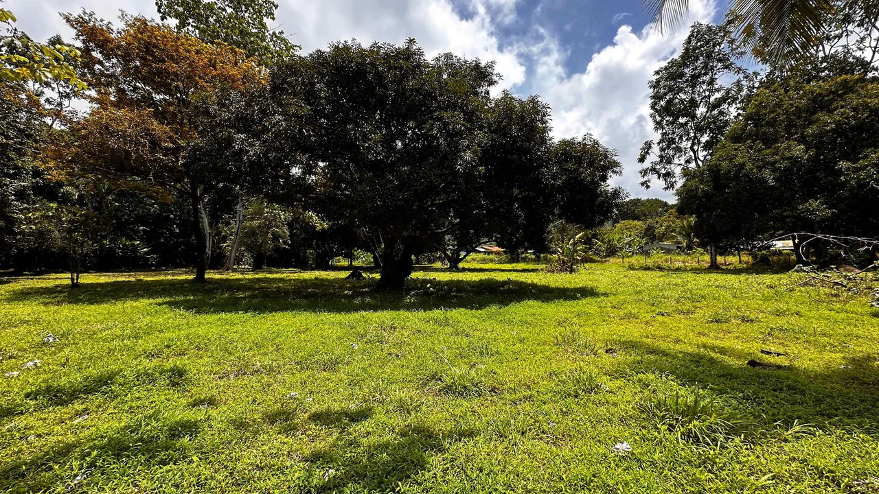DEVELOPERS DREAM! Bahia, Uvita, walk to the beach!: Mountain Agricultural Land For Sale in Uvita