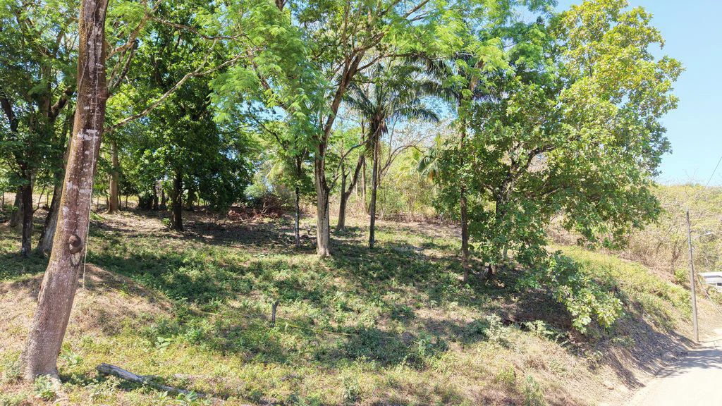 Lote Del Bosque: Buildable Lot with Mountain Views – Prime Location in Playa Carrillo - Gallery image 7