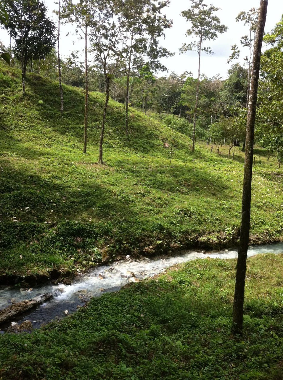 Cold & Hot springs surrounded by an overgrown farm, taken back by nature - Gallery image 73