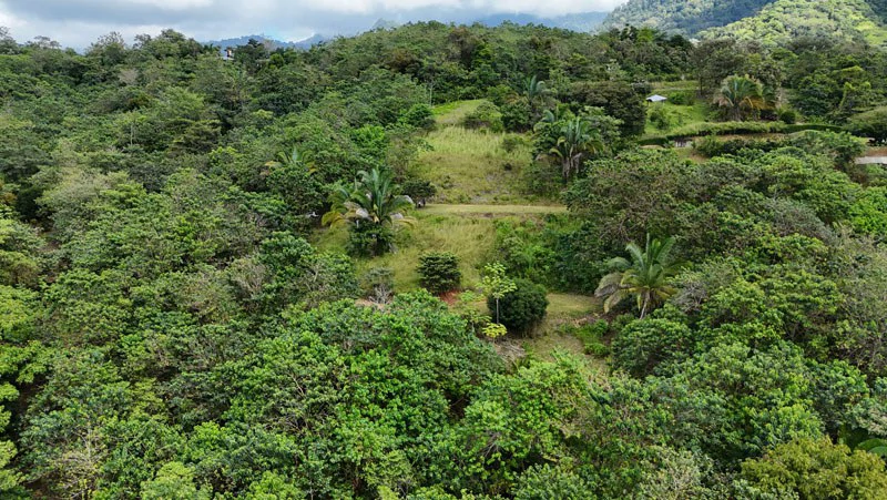 Gorgeous Ocean View Acreage in San Buenas - Gallery image 8