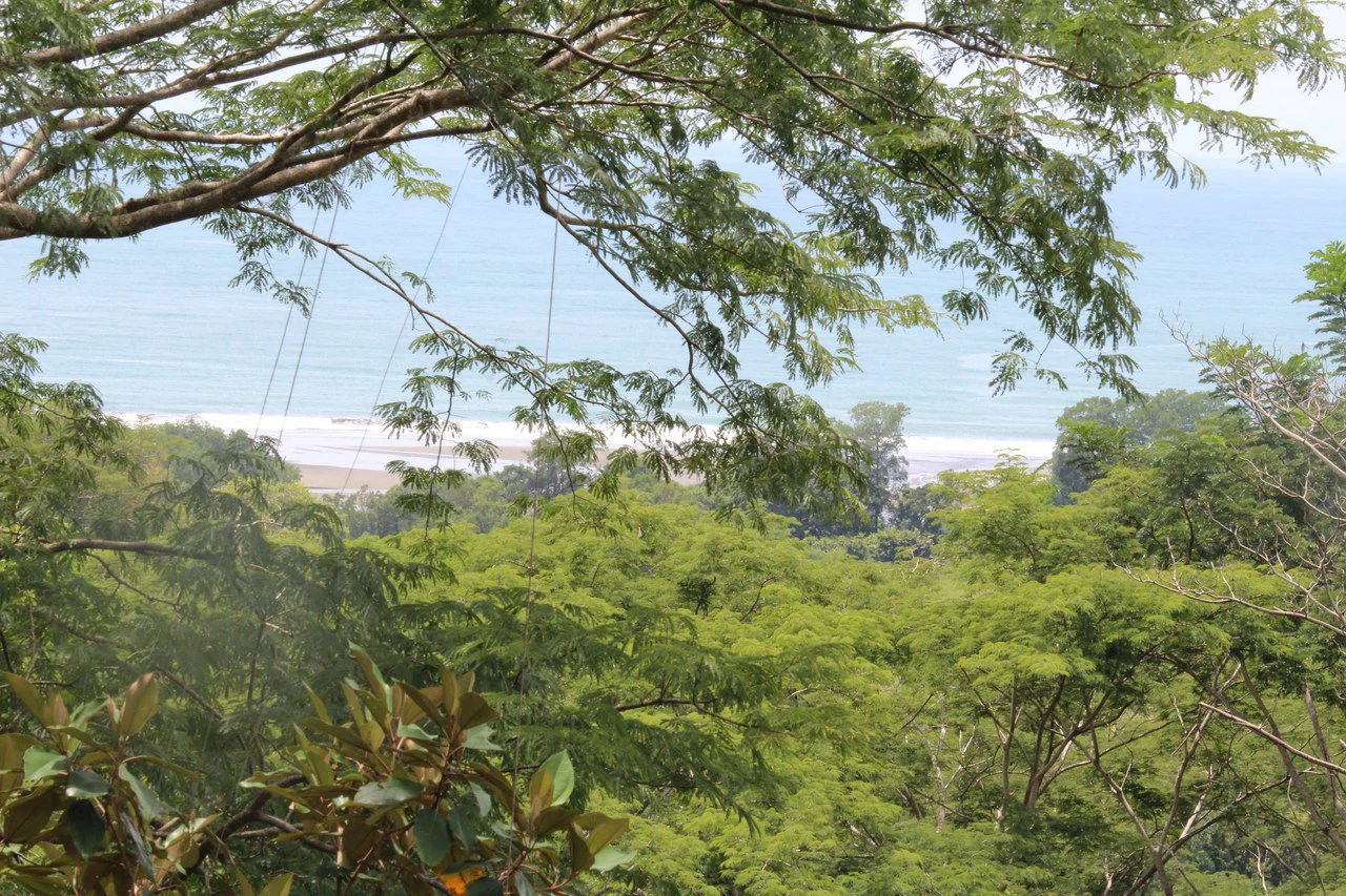Whitewater Sunset Ocean View Lot Close to Dominical Beach - Gallery image 21