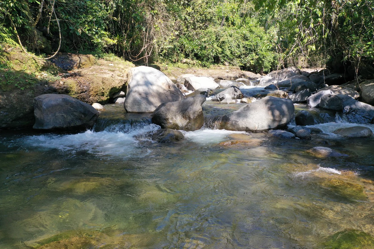 8 Acre Riverfront Sanctuary in San Pedrito Pérez Zeledón - Gallery image 22