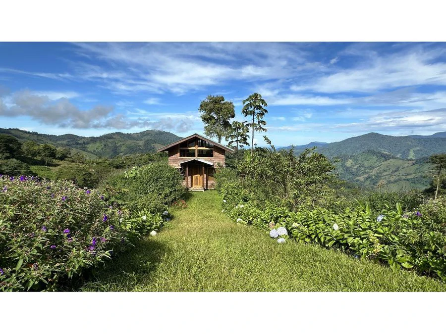 BEAUTIFUL MOUNTAIN VIEW FINCA WITH CABIN IN RIO NUEVO - Gallery image 11