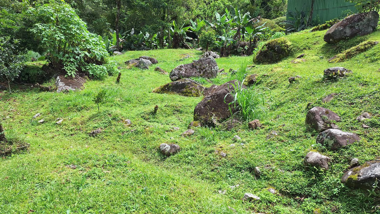 Propiedad en cedral: Mountain Home Construction Site For Sale in Cajón - Gallery image 12