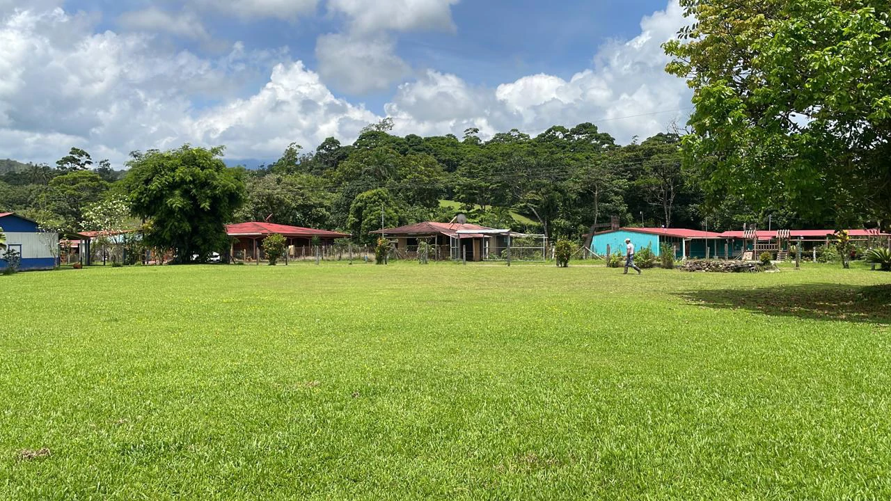 Mountain Agricultural Land For Sale in Bijagua - Gallery image 41