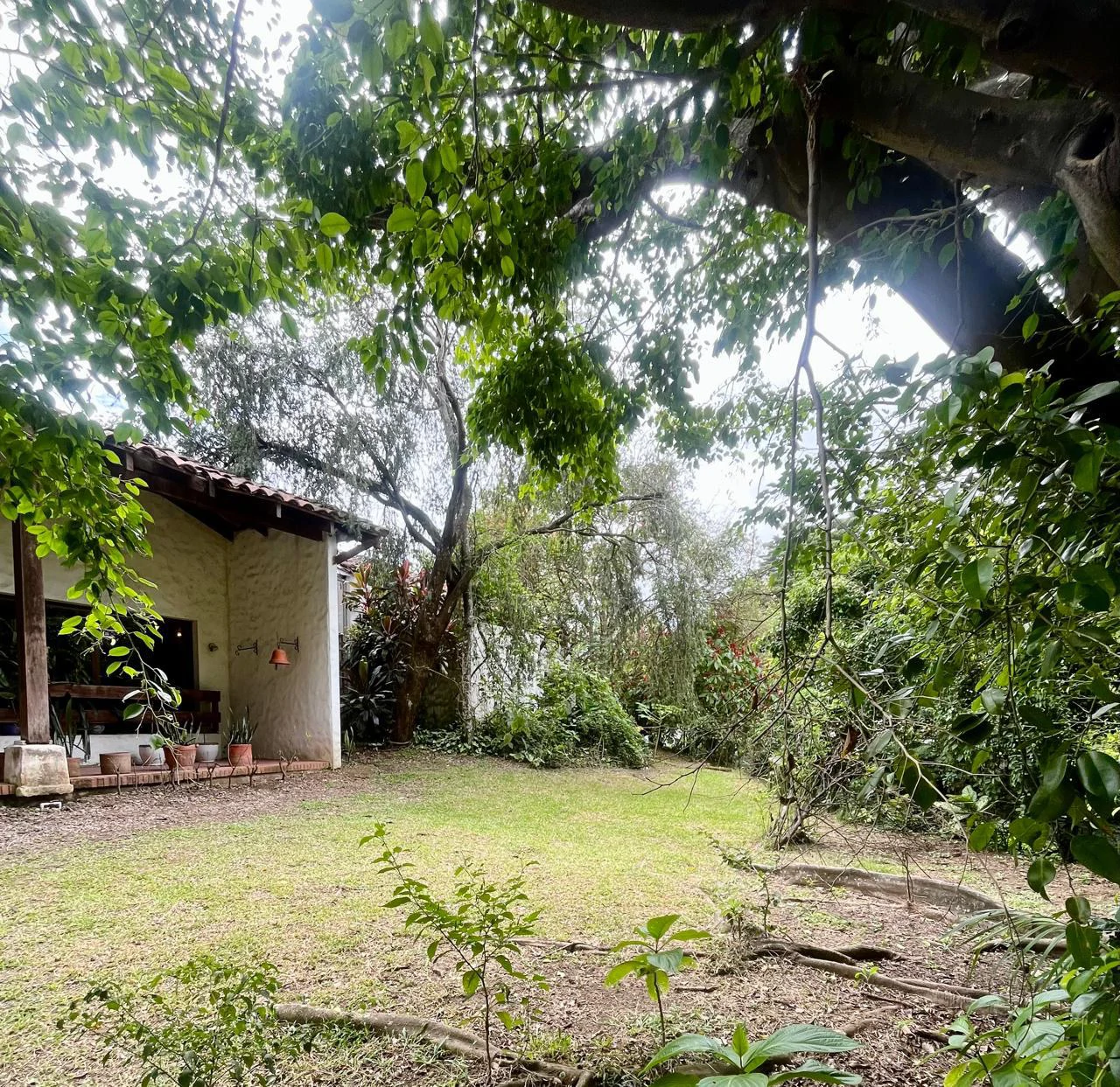House to Remodel with 1,700 sq m of Land in Pozos, Santa Ana - Gallery image 2