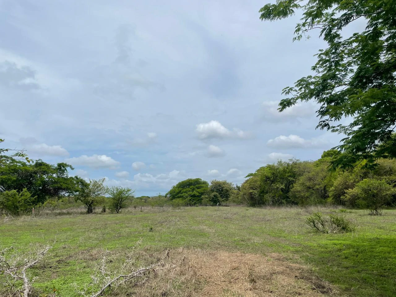 BEST PRICE! For sale comercial Property for warehouses or free zone, 1 km from Liberia Airport, Guanacaste, CR - Gallery image 8