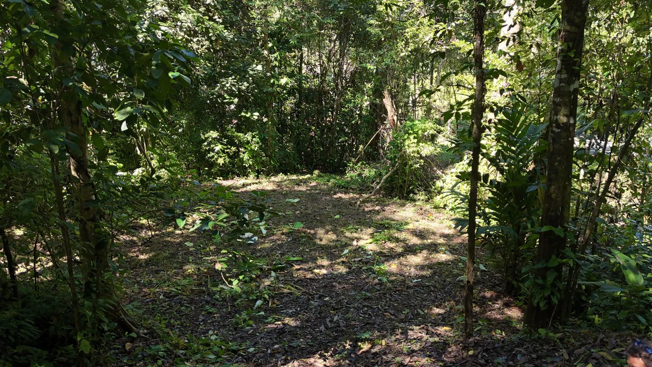 1.4-acre gated lot in Uvita - Gallery image 4