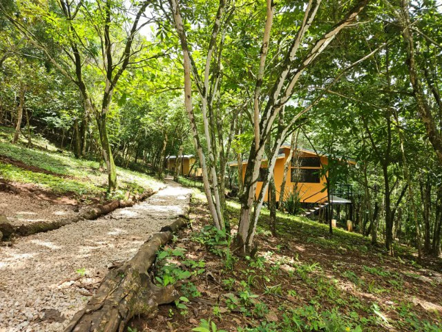 Nosara's Brand New Top Villas as a Business Opportunity in the dense forest of catchment area, 7 villas for sale in Costa Rica's Healthy Blue Zone - Gallery image 12
