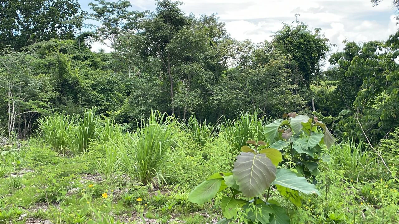 Countryside Agricultural Land For Sale in Limonal - Gallery image 10
