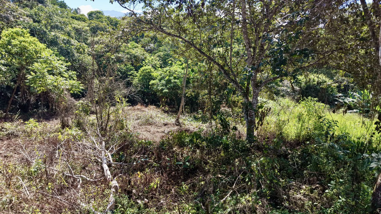 Home Construction Site For Sale in Pavones - Gallery image 30