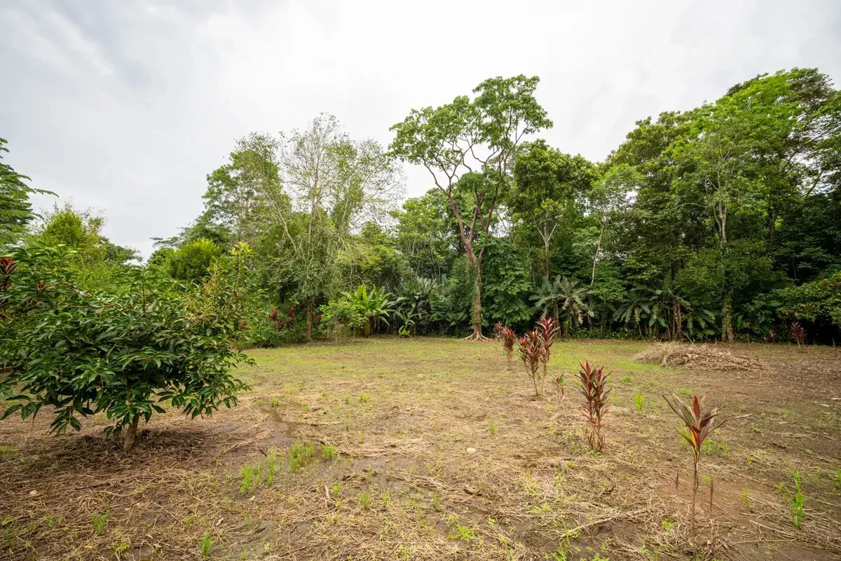 ID 1150: 3000 sqm Titled Land Near Cahuita National Park, Costa Rica - photo 6