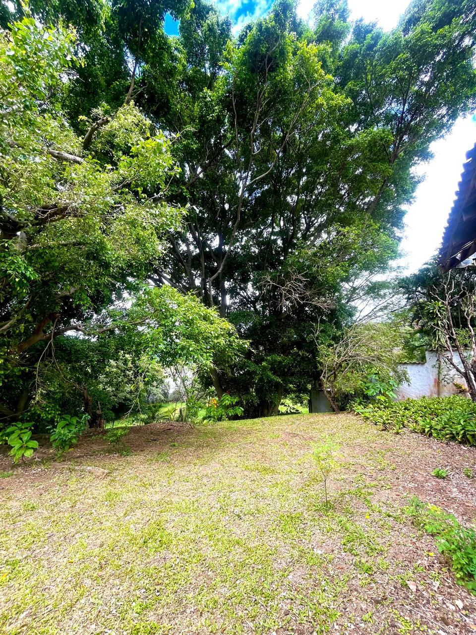 House to Remodel with 1,700 sq m of Land in Pozos, Santa Ana - Gallery image 11
