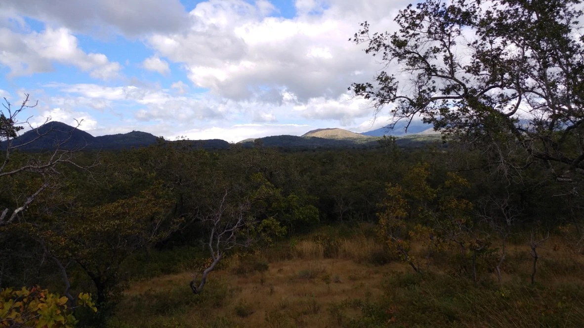 Mountain Farm for Sale in Liberia – Nature, Privacy, and High Investment Potential