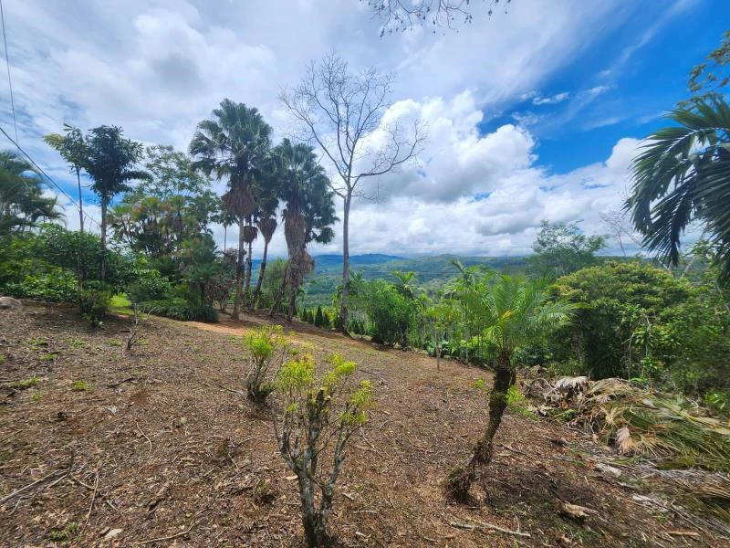 Propiedad en La Bonita Emma-137480: Mountain and Countryside Home Construction Site For Sale in San Isidro del General - Gallery image 13