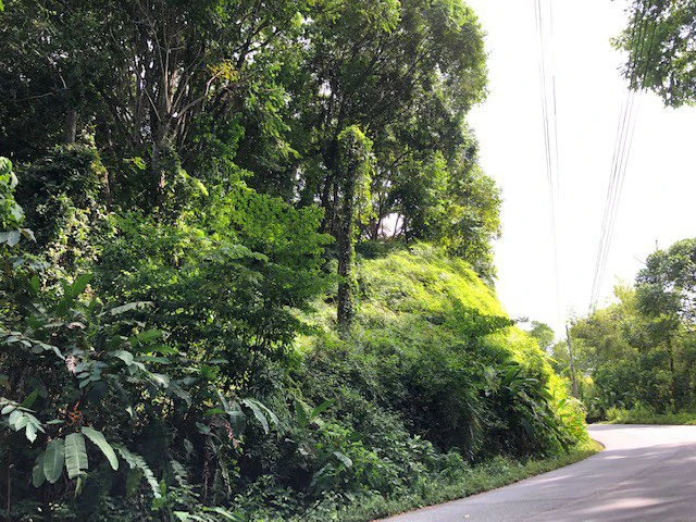 6.5 ACRES – Space To Grow, Build & Thrive, Close To The Beach & Commercial Potential Road Frontage!!!!!: Mountain and Countryside Development Parcel For Sale in Platanillo de Dominical - Gallery image 6