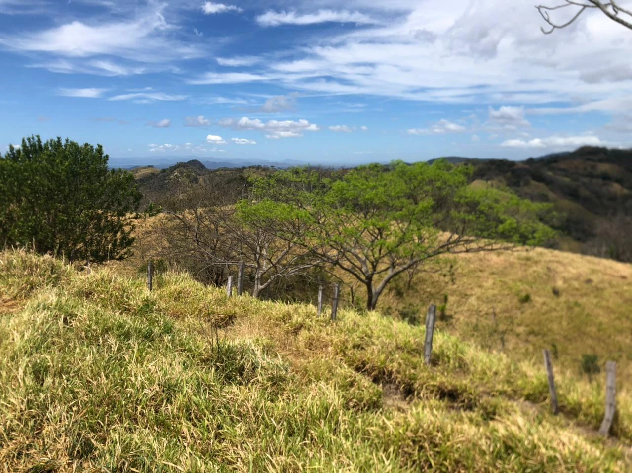 10 acre Dream Mountain Farmland near Monteverde - Gallery image 3