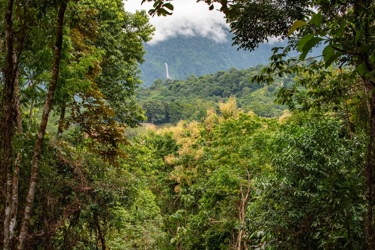 2.4 Acre Property In The Mountains Above Dominical with Waterfall Views - Gallery image 11