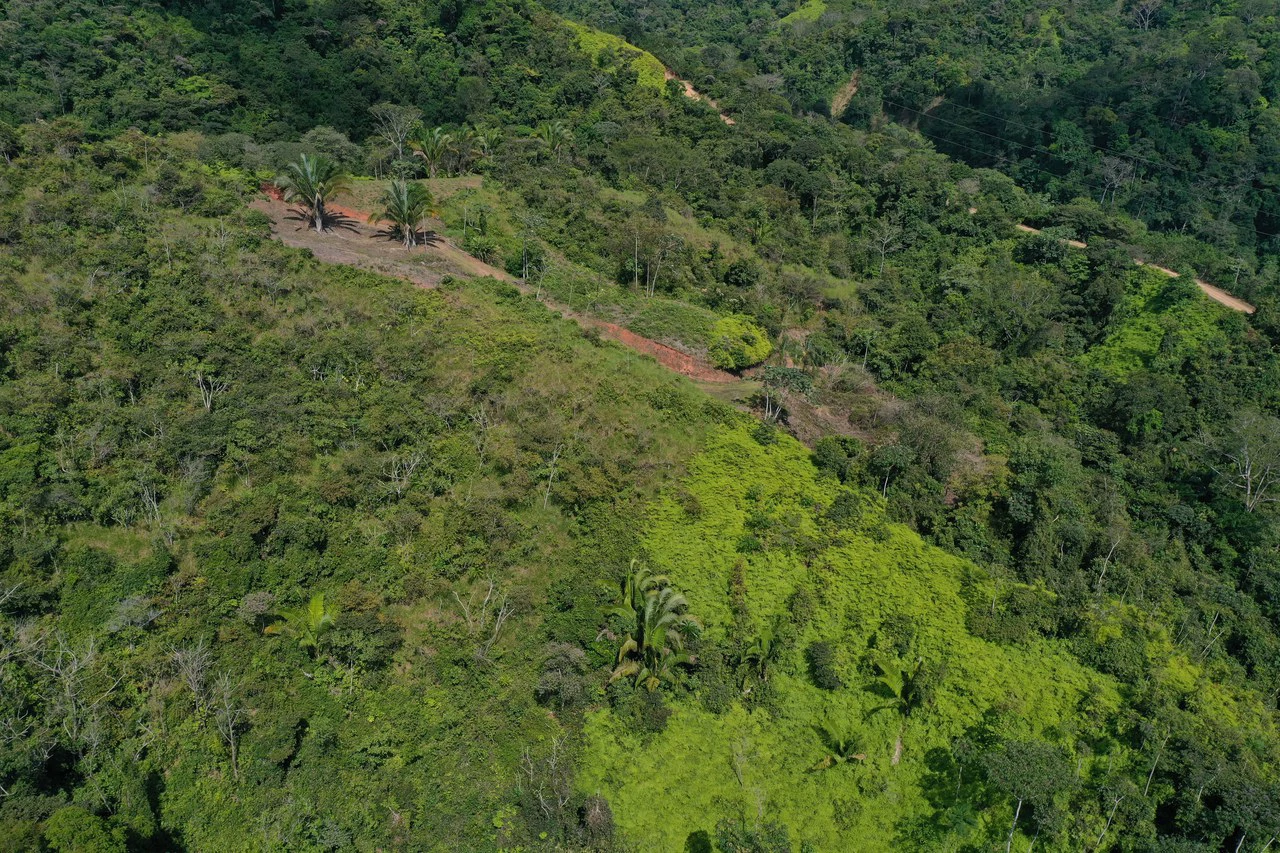 12 Acre Ocean View Farm in a Private Agricultural Community - Gallery image 10