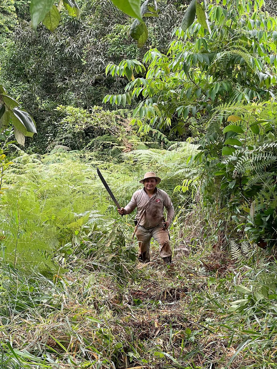 ID 4167: Investment Opportunity: 8-Acre Reforested Mountain Finca in Puriscal - Gallery image 7