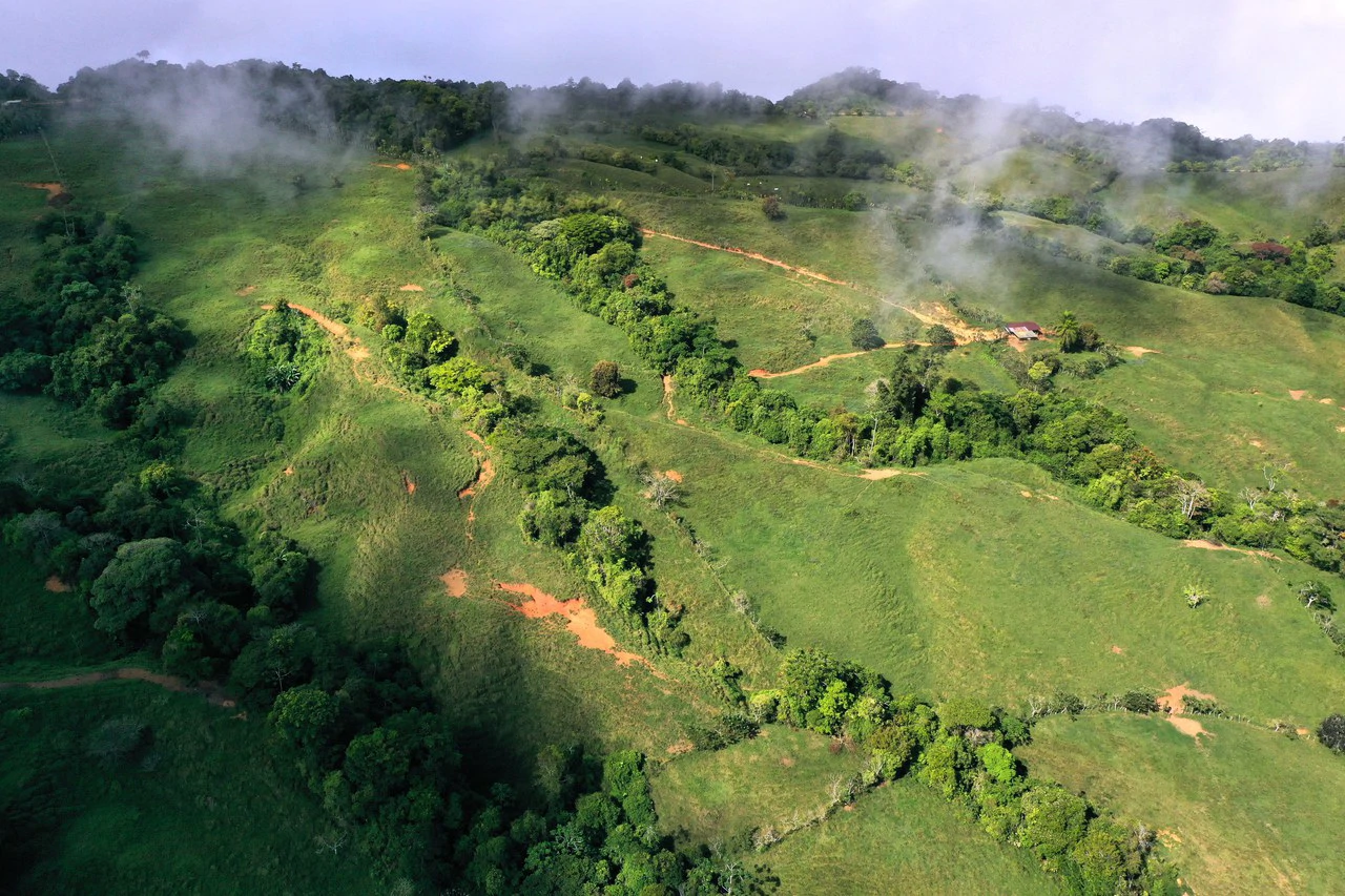 150 Acre Cattle Ranch with Panoramic Views Above the mountains of Uvita - Gallery image 11
