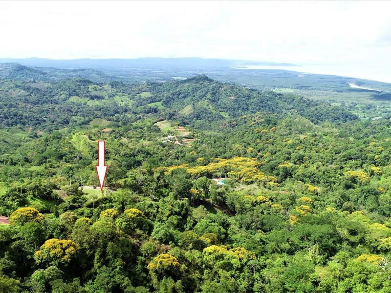 Captivating 3.15-Acre Property: Huge Pricedrop! Firesale Oceanview Lot in Tres Rios - Gallery image 43