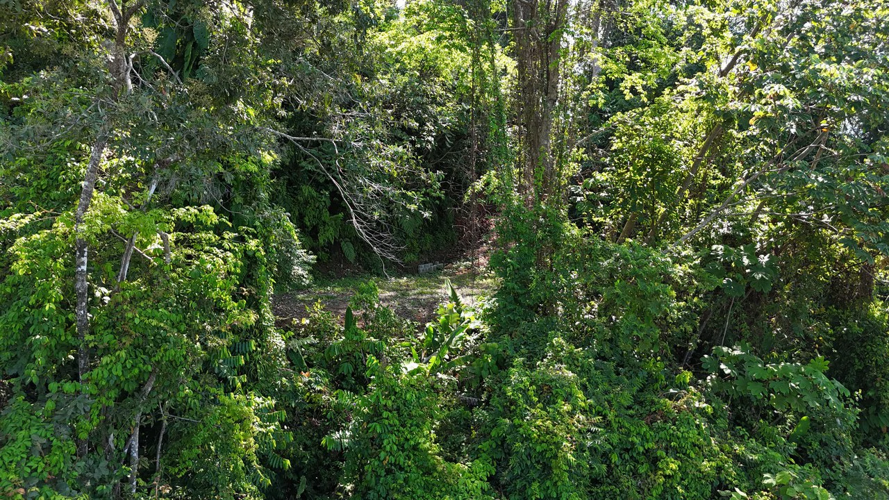 The Crown Jewel Ocean View Lot Hatillo - Gallery image 14