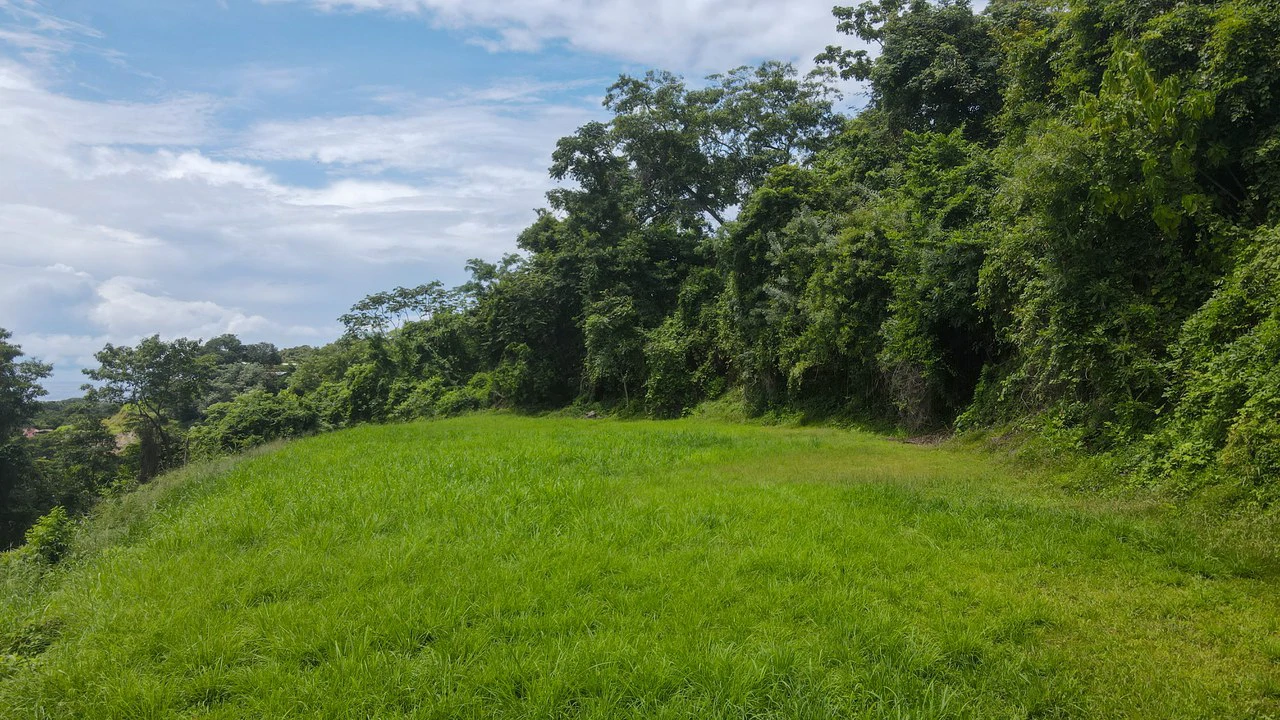 Ocean View Lot for Sale Guanacaste Costa Rica San Miguel Beach Tittled - Gallery image 8