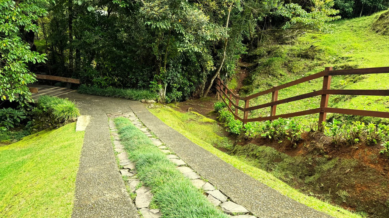 Hidden Paradise in Monteverde. Sierra Verde SV0125: 5 Hectares with Spectacular Views, a Beautiful and Cozy Main House and Caretaker’s Home Just 10 Minutes from Monteverde - Gallery image 11