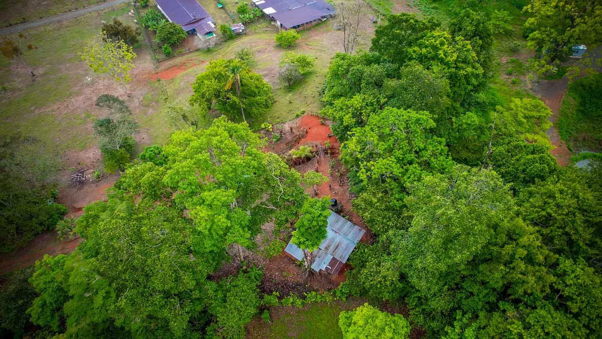 Hill House Gulf View | Property in Cañaza - Gallery image 8