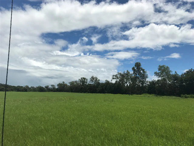 Large Development Land for Sale in Liberia, Guanacaste, Costa Rica - Gallery image 59